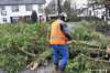 maart2019stormschadeinwaalre2_small.jpg