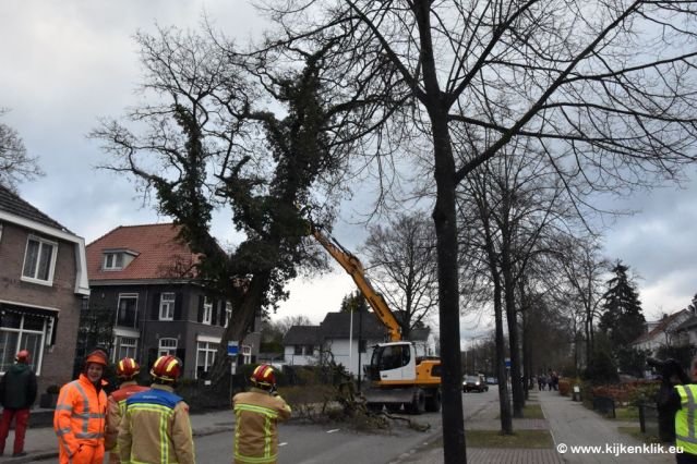 maart2019stormschadeinwaalre3.jpg