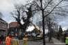 maart2019stormschadeinwaalre3_small.jpg