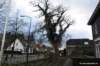 maart2019stormschadeinwaalre4_small.jpg
